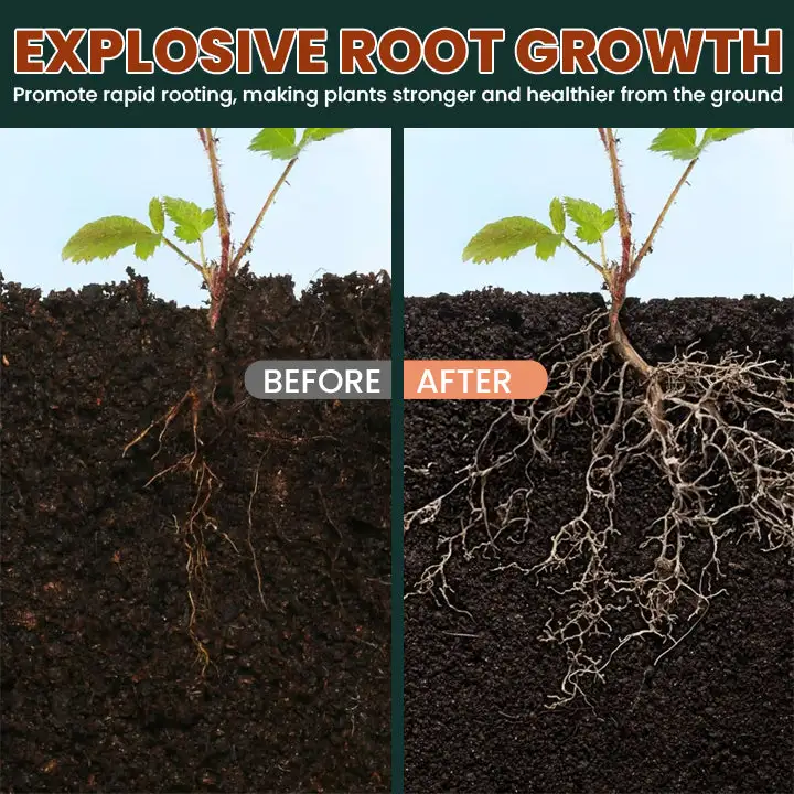 Root Drops - Image 15