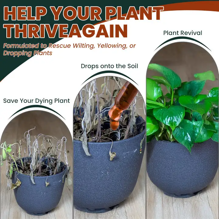 Root Drops - Image 16