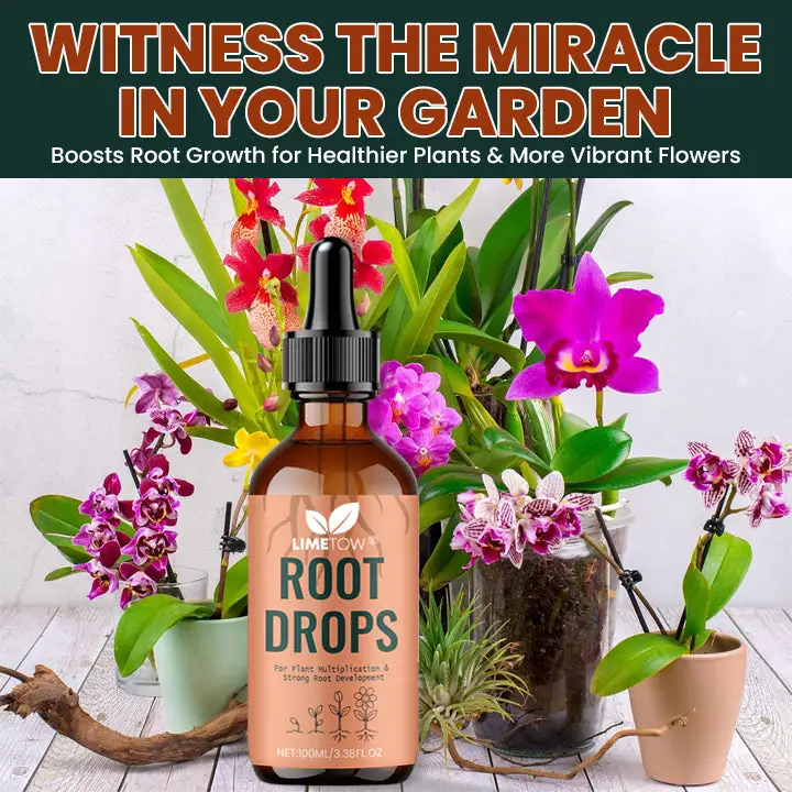 Root Drops - Image 7