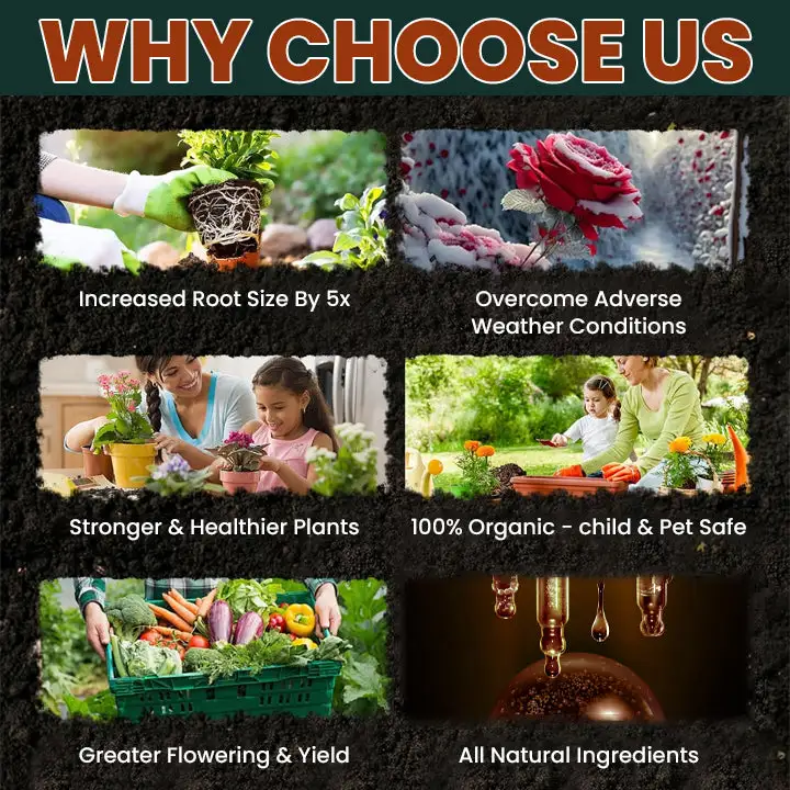 Root Drops - Image 12