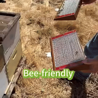 BeeDerm RX Cream - Image 8