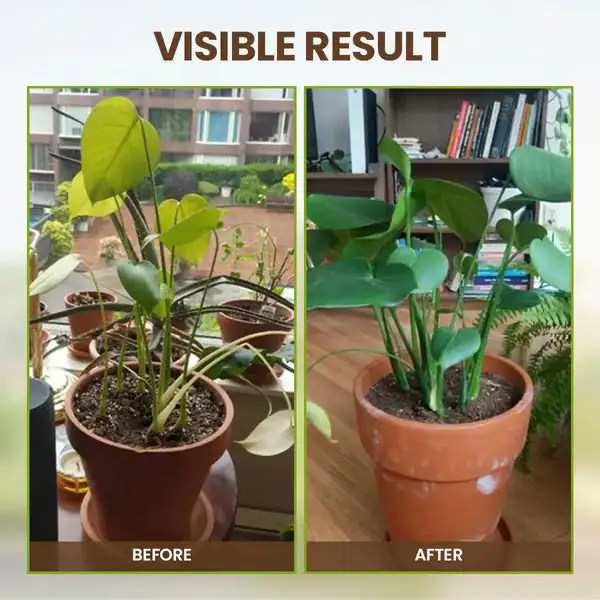 2026🏆✨LAST DAY SALE 70% OFF🔥Seasonal Promotion🔥-Soil Activator - Image 6