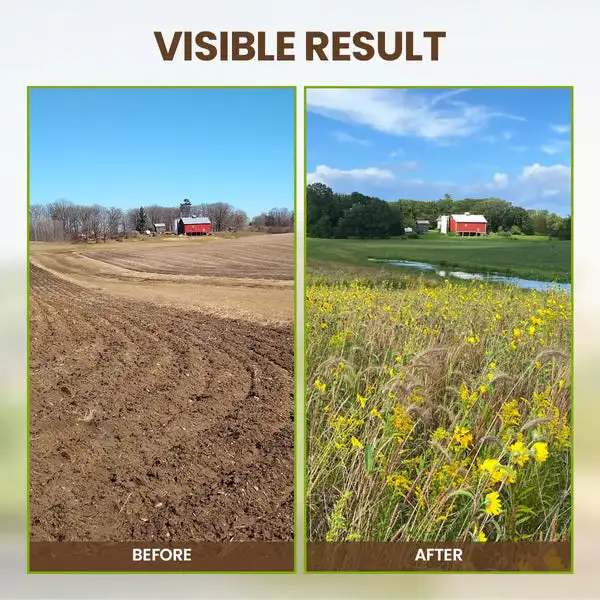 2026🏆✨LAST DAY SALE 70% OFF🔥Seasonal Promotion🔥-Soil Activator - Image 7