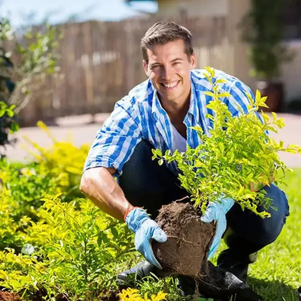 2026🏆✨LAST DAY SALE 70% OFF🔥Seasonal Promotion🔥-Soil Activator - Image 8