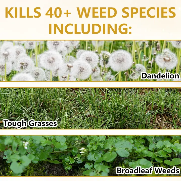 2-in-1 Herbicide 2026 | Fast Weed Killer - Image 3