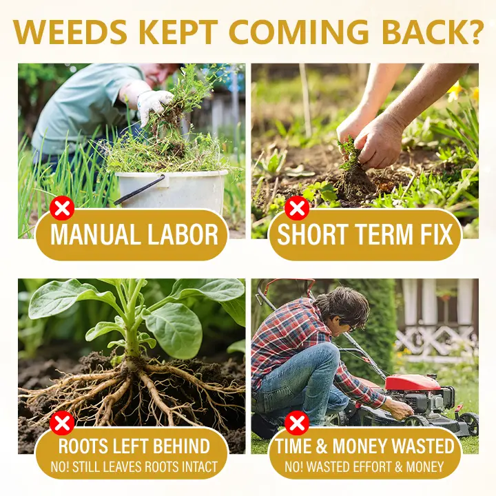 2-in-1 Herbicide 2026 | Fast Weed Killer - Image 7