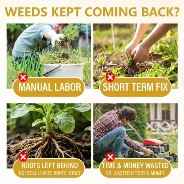 2-in-1 Herbicide 2026 | Fast Weed Killer - Image 3
