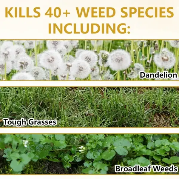 2-in-1 Herbicide 2026 | Fast Weed Killer - Image 4