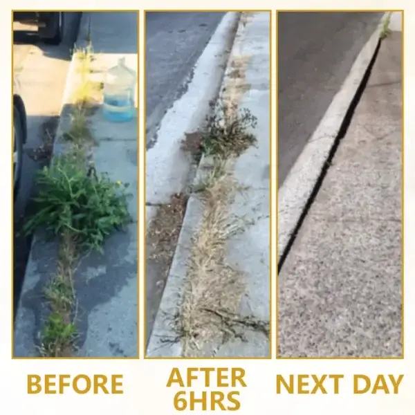 2-in-1 Herbicide 2026 | Fast Weed Killer - Image 5