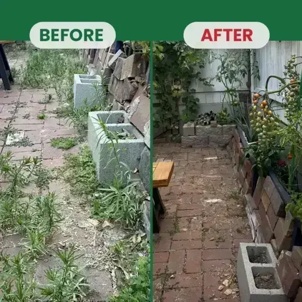 Kill Bamboo, Stumps & Invasive Weeds for Good – Root Killer Powder - Image 3
