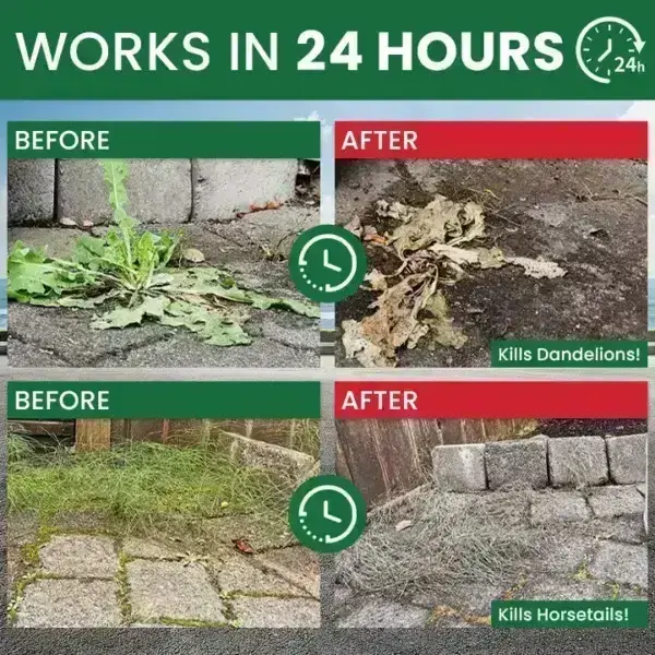 Kill Bamboo, Stumps & Invasive Weeds for Good – Root Killer Powder - Image 14