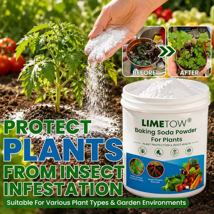 Baking Soda Powder for Plants - Image 2