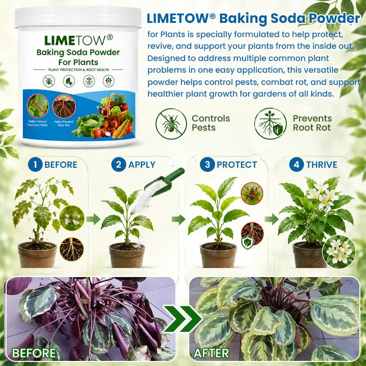Baking Soda Powder for Plants - Image 3