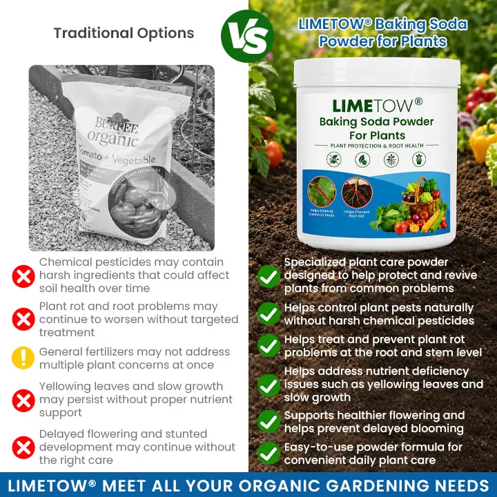 Baking Soda Powder for Plants - Image 4