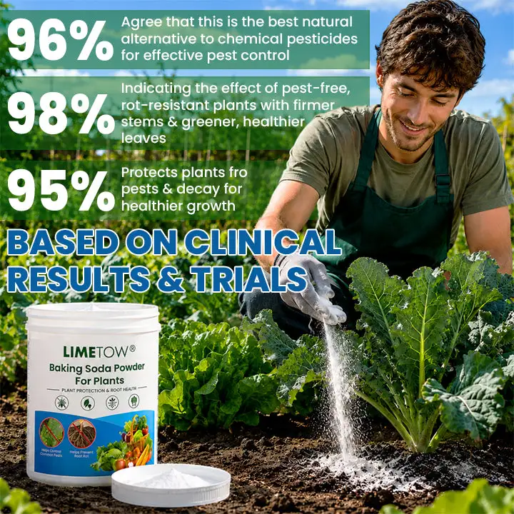 Baking Soda Powder for Plants - Image 6