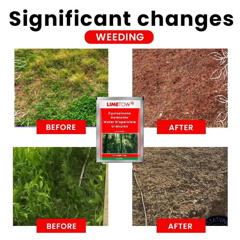 Cyclosinone Herbicide Water Dispersible Granules - Image 4