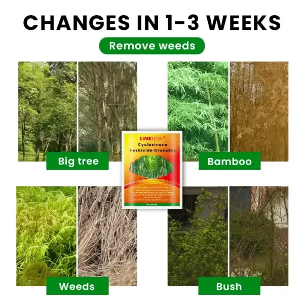 Herbicide Granules 2026 | Safe Weed Control - Image 6