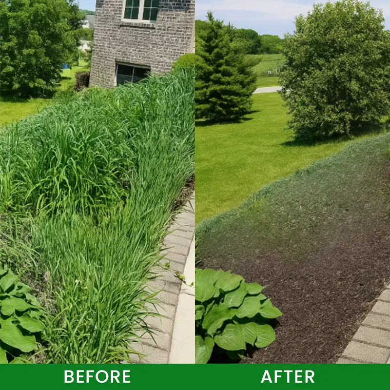 Herbicide Granules 2026 | Safe Weed Control - Image 12