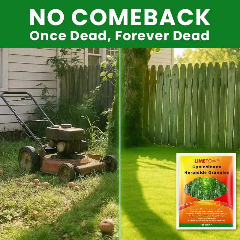 Herbicide Granules 2026 | Safe Weed Control - Image 13
