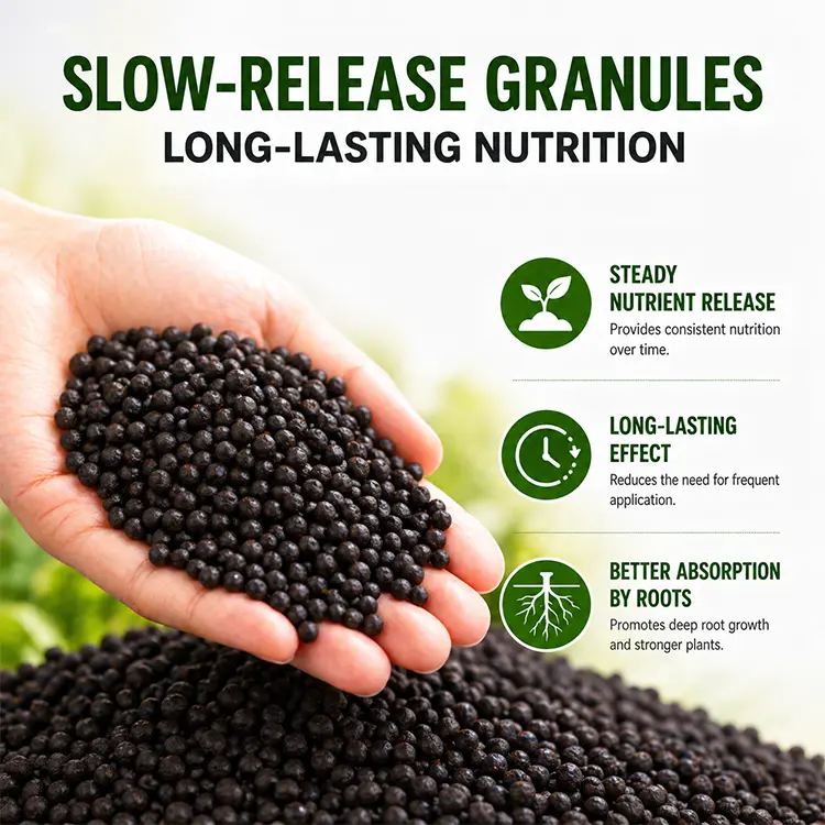 Organic Vegetable-Specific Fertilizer - Image 2
