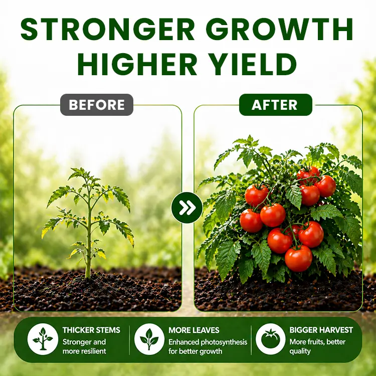 Organic Vegetable-Specific Fertilizer - Image 8