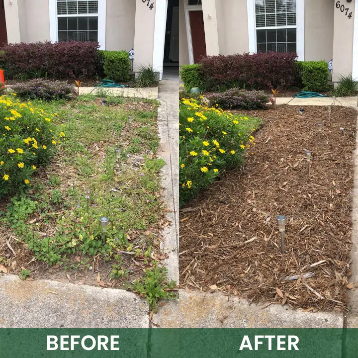 Powerful Herbicide Granules - Image 11