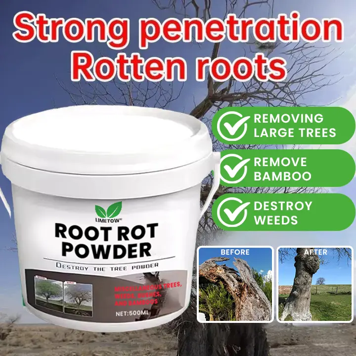 Root Rot Powder - Image 2