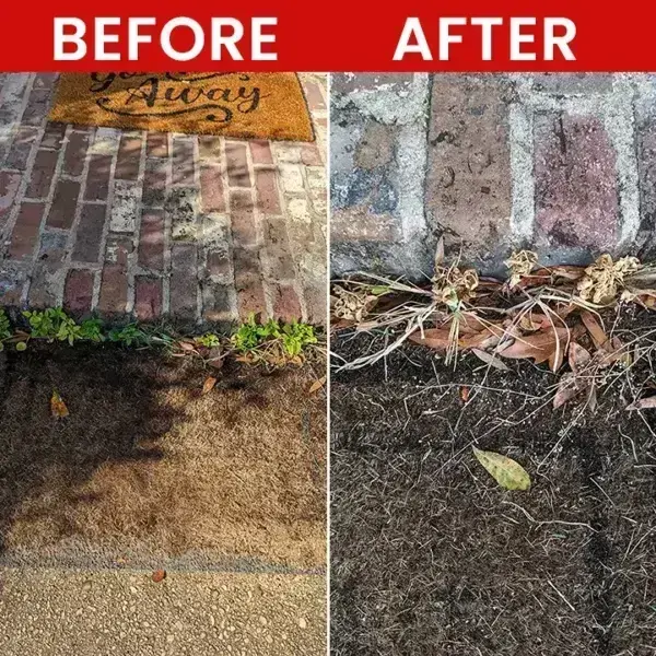 Weed Killer Spray - Image 10