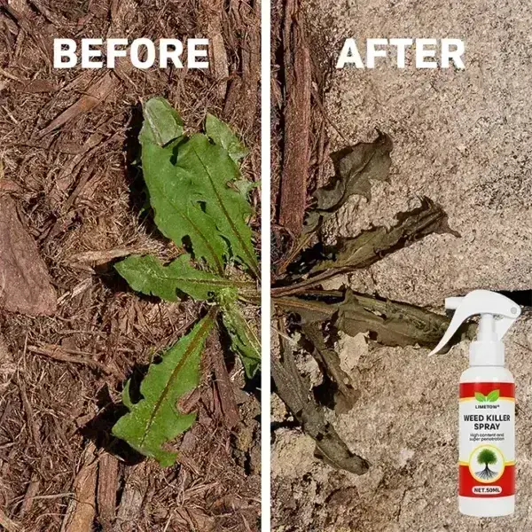 Weed Killer Spray - Image 5