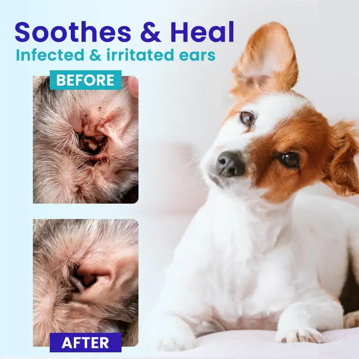 Pet Ear Pro Drops FM+ 2026 | Fast Relief for Cats & Dogs - Image 4