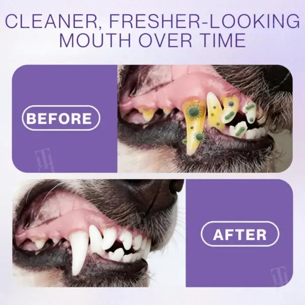 Pet Zinc-Gluconate Oral Spray - Image 7