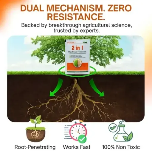 2-in-1 Herbicide 2026 | Fast Weed Control - Image 3