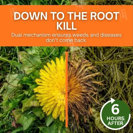 2-in-1 Max Power Herbicide - Image 6