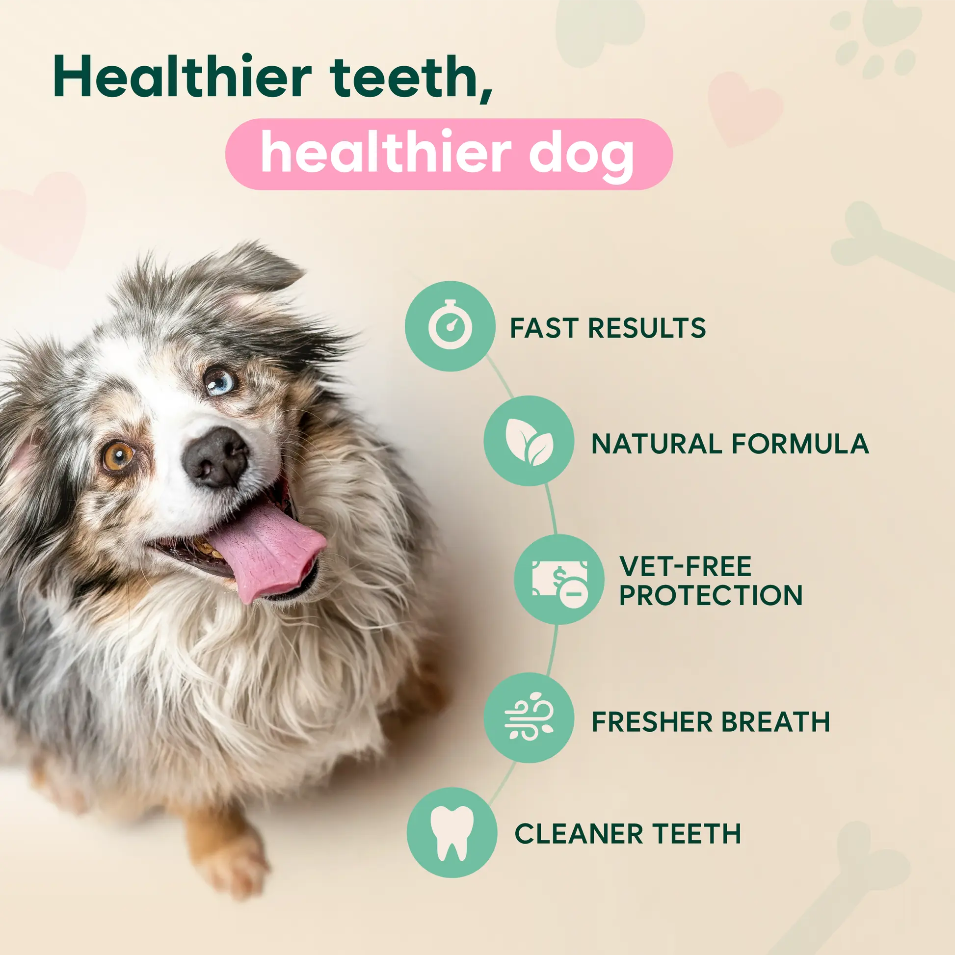 Dental Spray – Stop Bad Breath & Tartar at the Source - Image 5