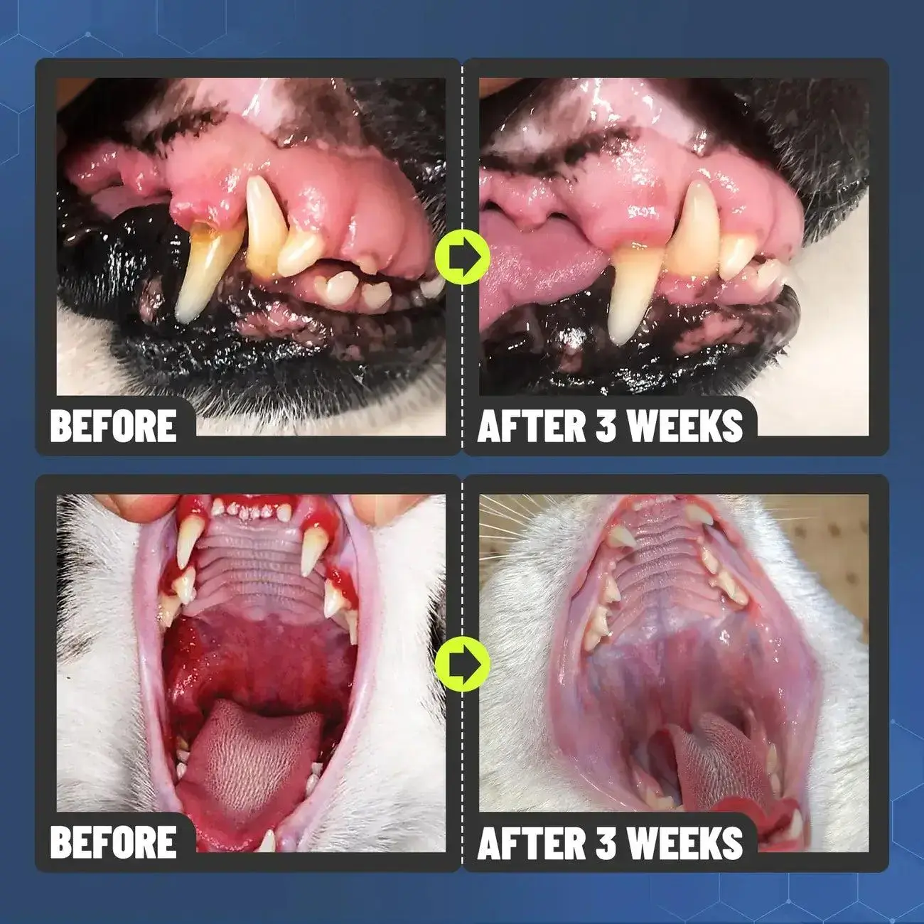 Dental Spray – Stop Bad Breath & Tartar at the Source - Image 7