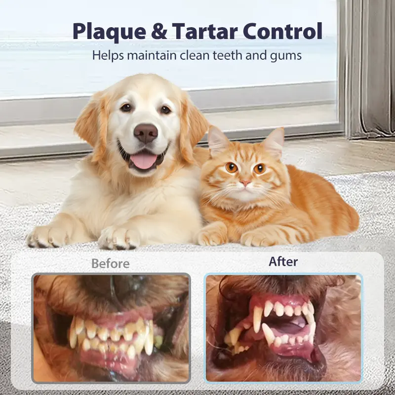 Dental Spray – Stop Bad Breath & Tartar at the Source - Image 8