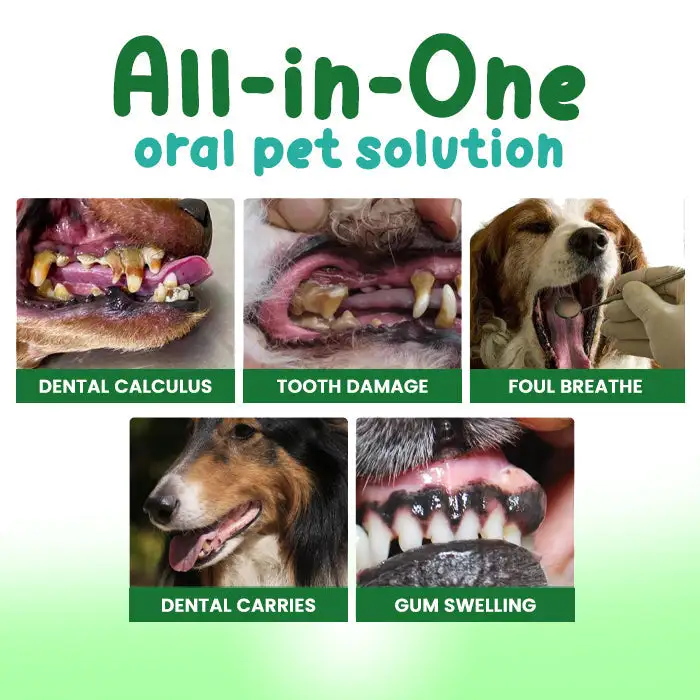 Pet Oral Care Spray - Image 3