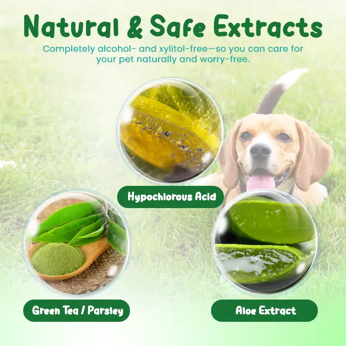 Pet Oral Care Spray - Image 4