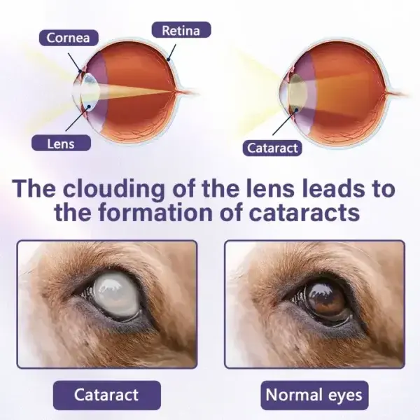 NanoCare Pet Eye Drops