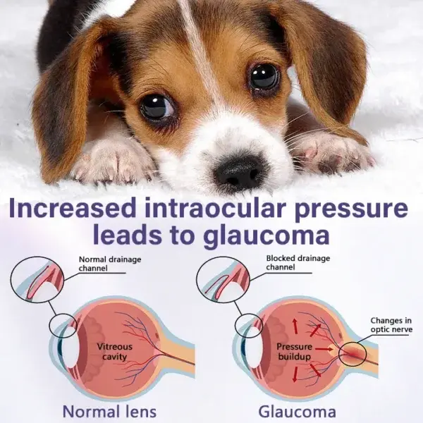 NanoCare Pet Eye Drops - Image 10
