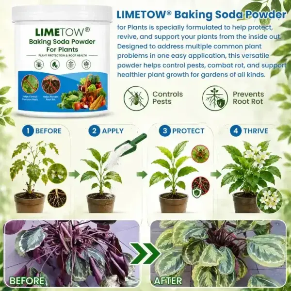 Baking Soda Powder for Plants - Image 7