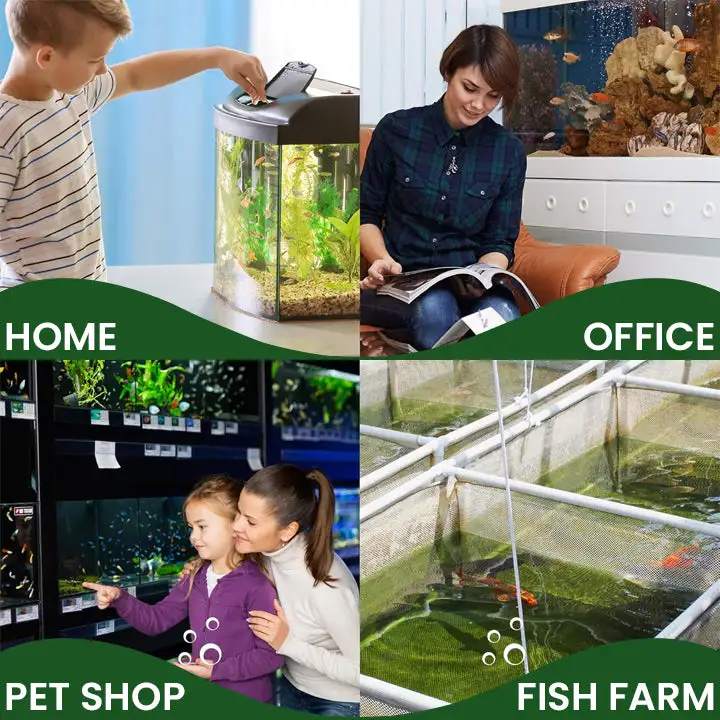 Powerful Aquarium Water Purification Tablet - Image 10