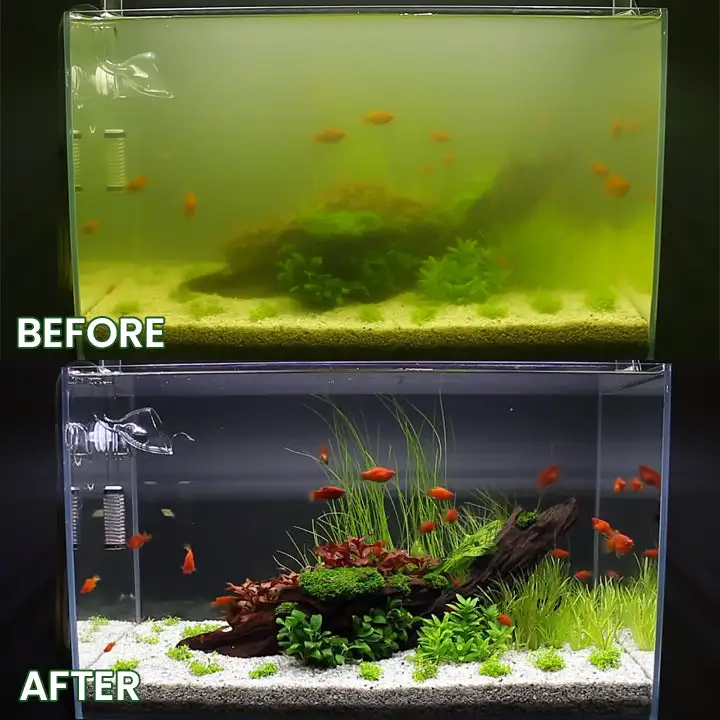 Powerful Aquarium Water Purification Tablet - Image 11