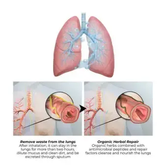 NEYEROS Botanical Mullein Lung Cleanse Diffuser - Image 7