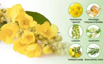 NEYEROS Botanical Mullein Lung Cleanse Diffuser - Image 9