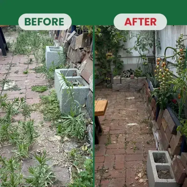 Weed Destruction Powder - Image 14