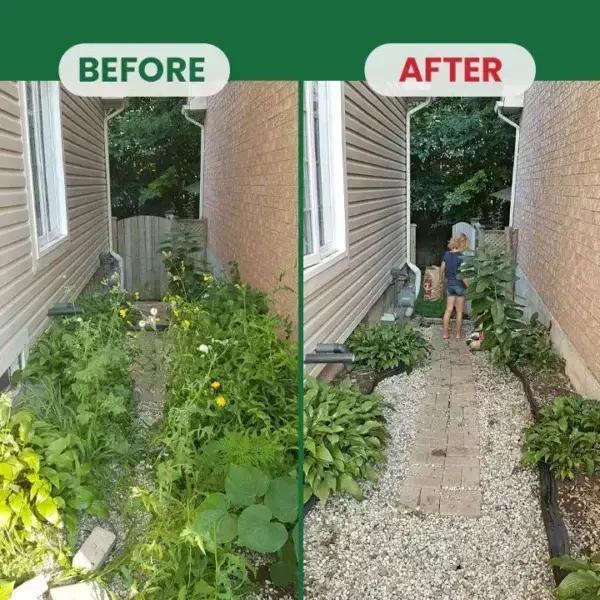 Weed Destruction Powder - Image 17