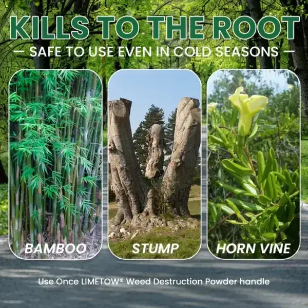 Weed Destruction Powder - Image 19