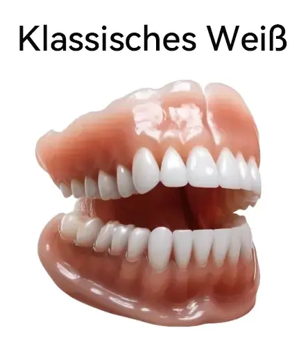 Hidone Premium Gebiss & Zahnprothese | Individuell anpassbar - Image 2