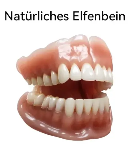 Hidone Premium Gebiss & Zahnprothese | Individuell anpassbar - Image 3